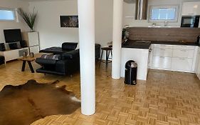 Schoenes Apartment Mit Terrasse, Mitten Im Gruenen Stattegg